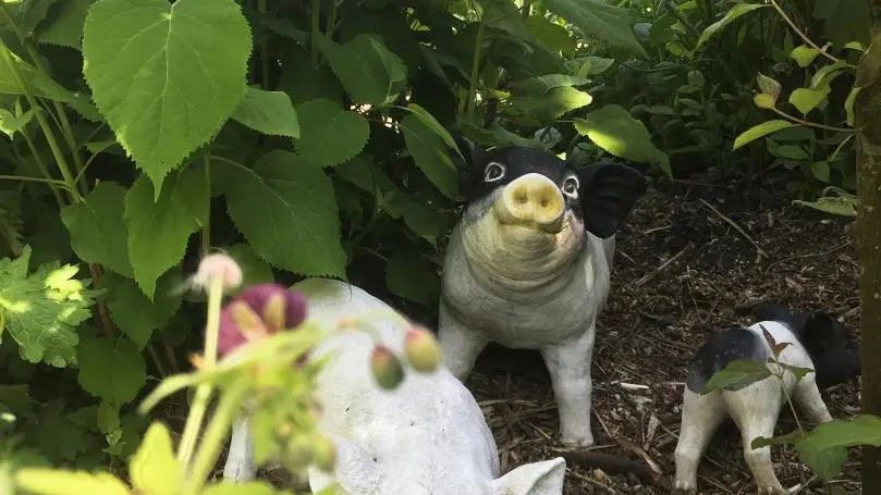 AUTHEUX Gîte Pomme d'Happy
