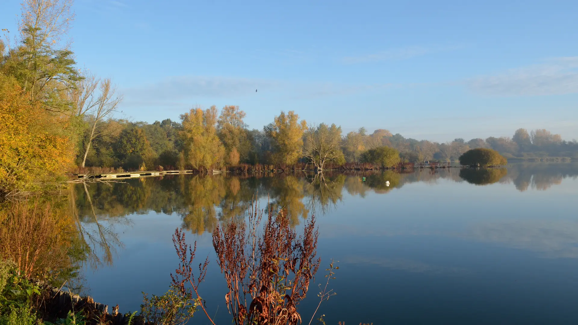 TSC/SCENESDUNORD - etang d'amaury - hergnies