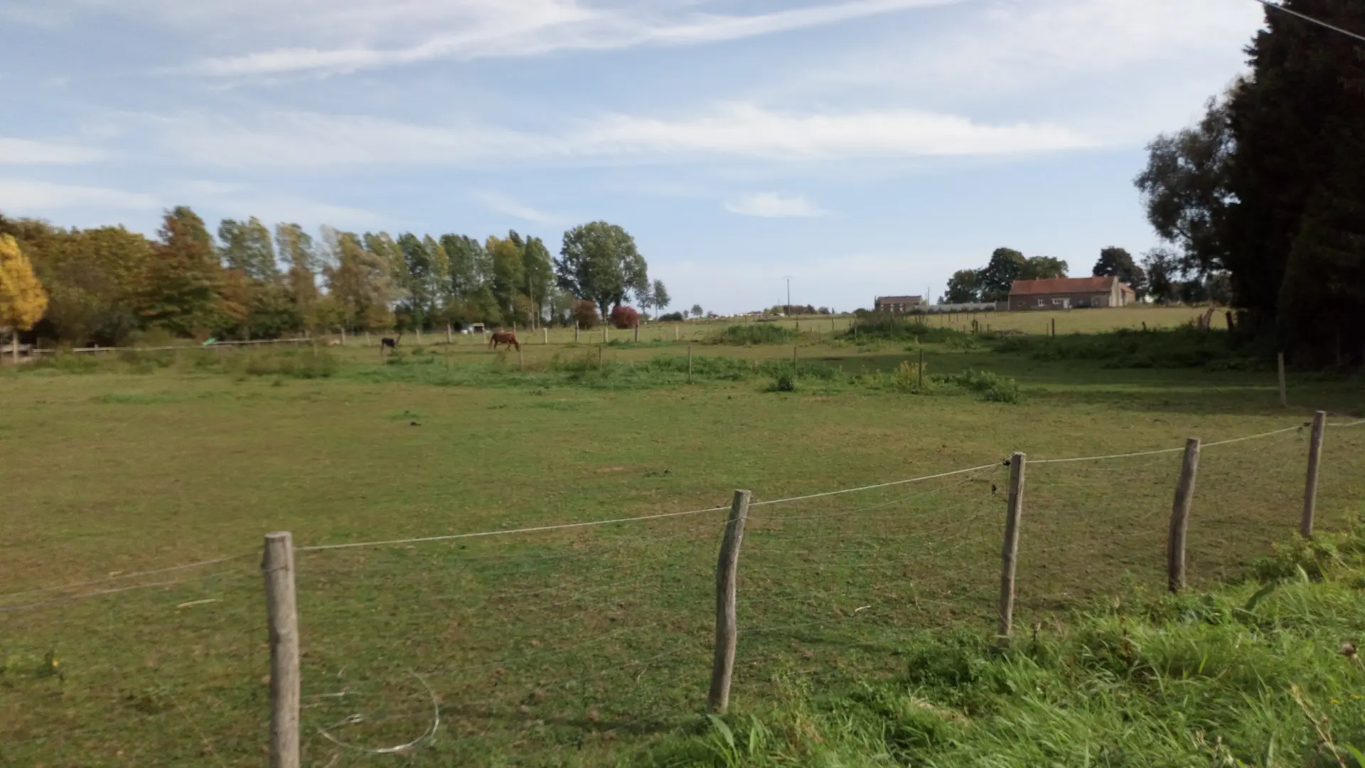 Hergnies-pature et chevaux©OTCVM