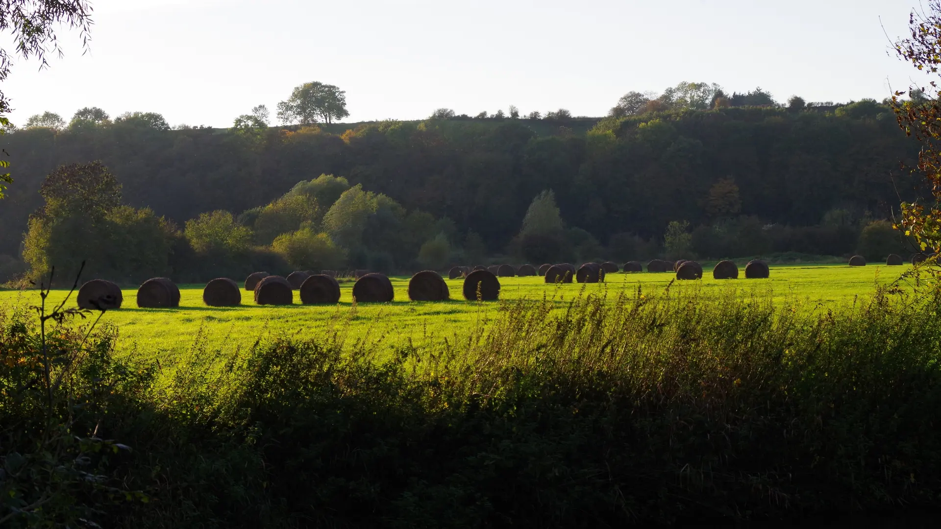 La campagne