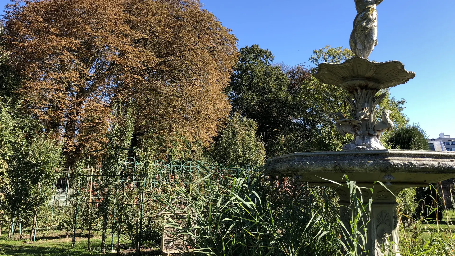 Jardin arboriculture fruitiere © Bénédicte Douchet (1)