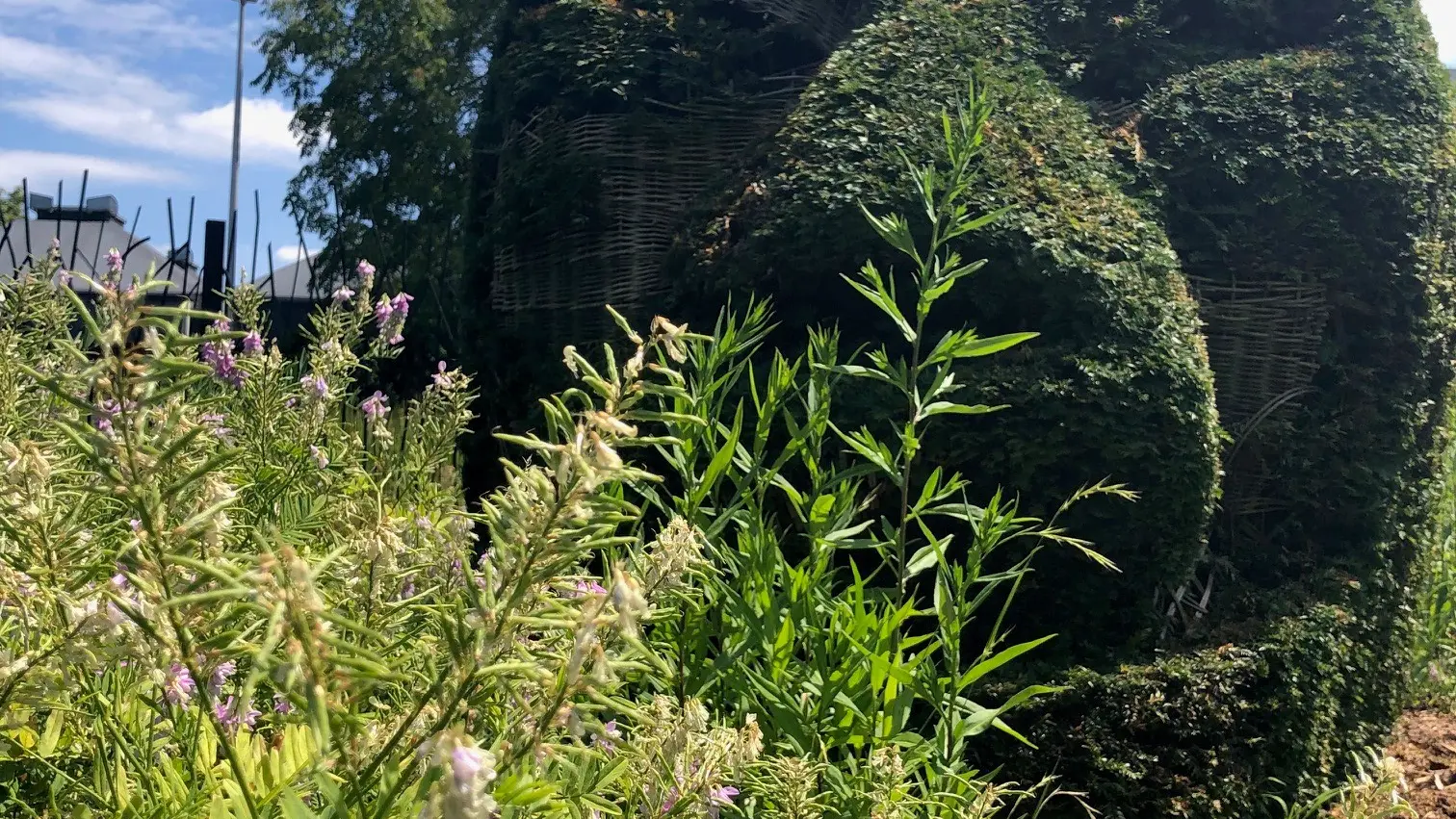 Jardin des Géants © Lille Tourisme (6)