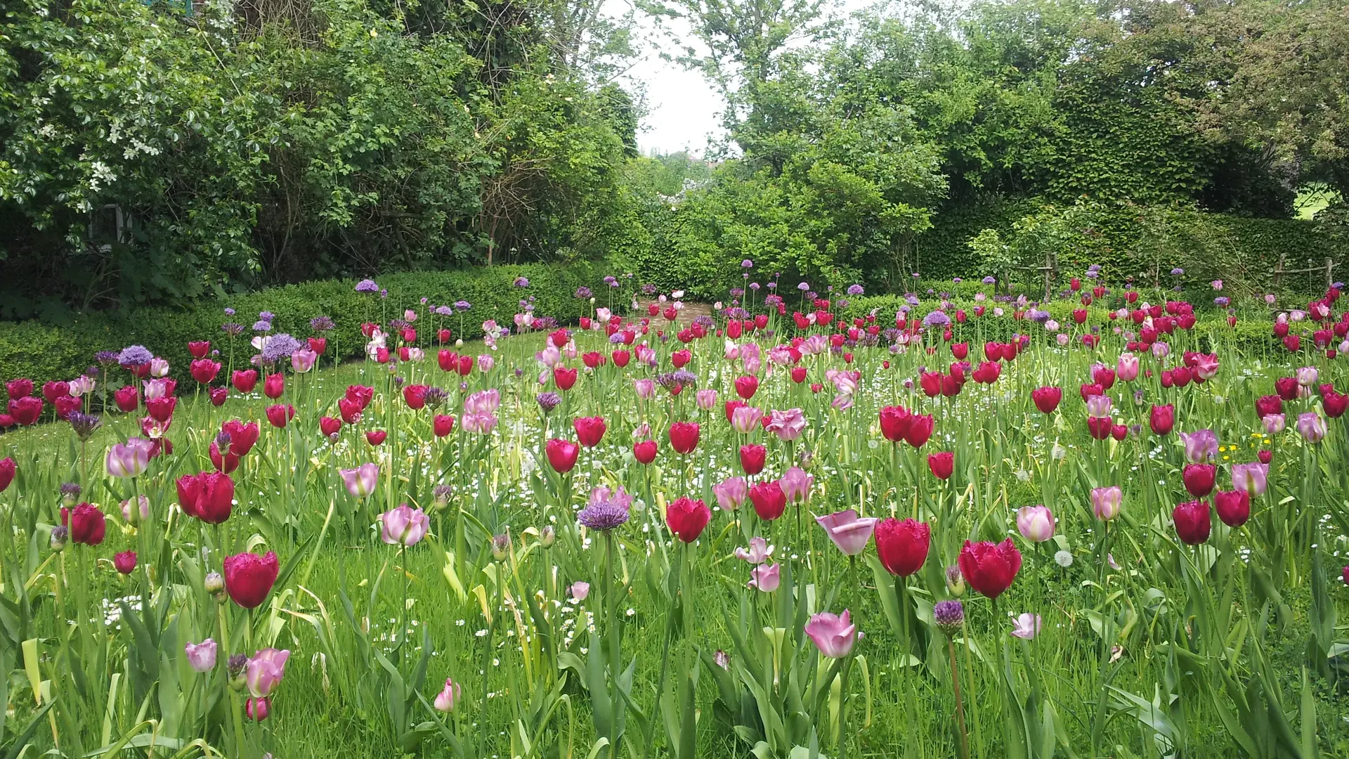 Jardin des Récollets.  Cassel. Côté Est