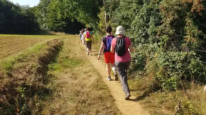 Les monts de flandre