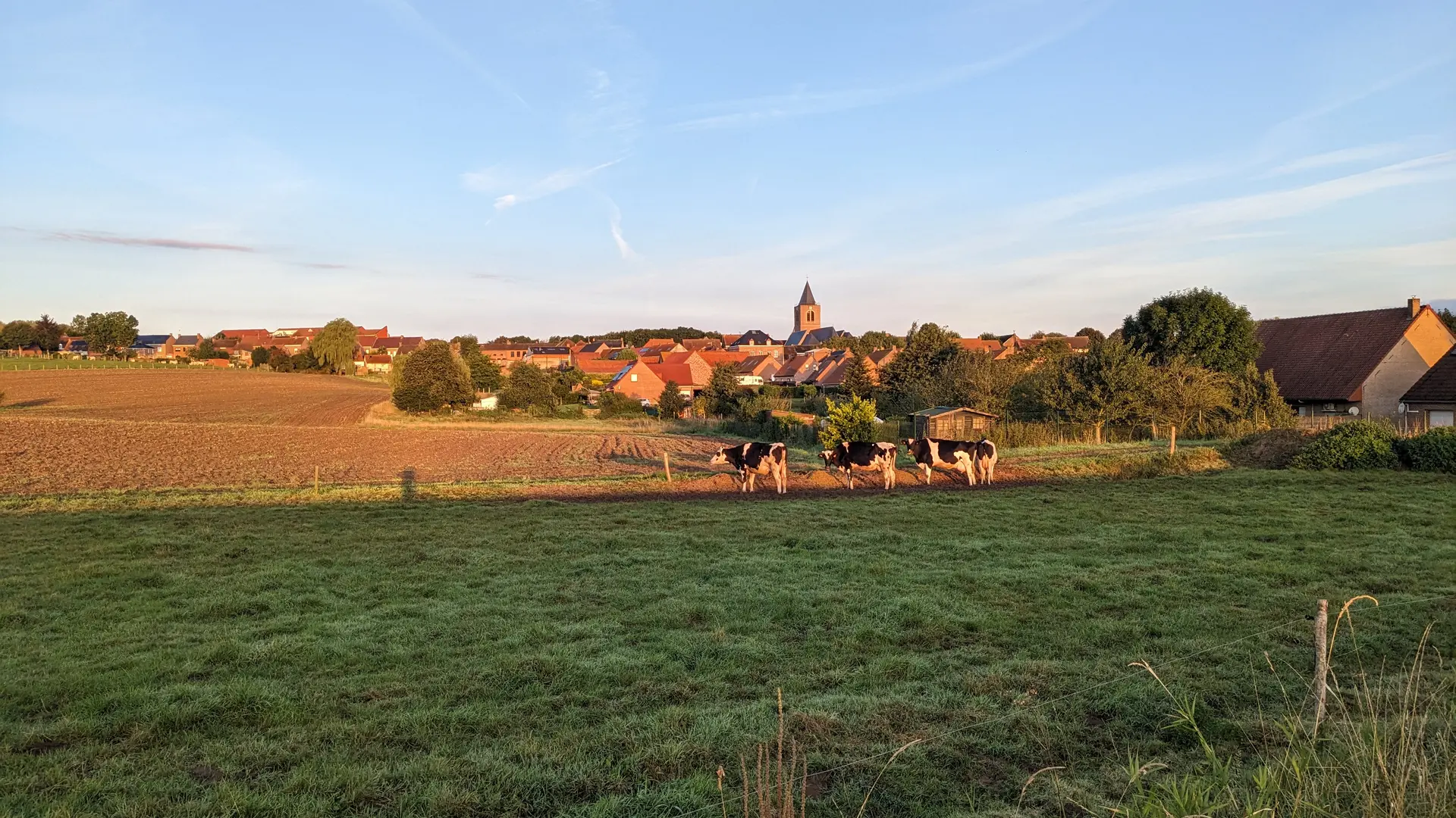 PXL_20240914_054846912 (2)