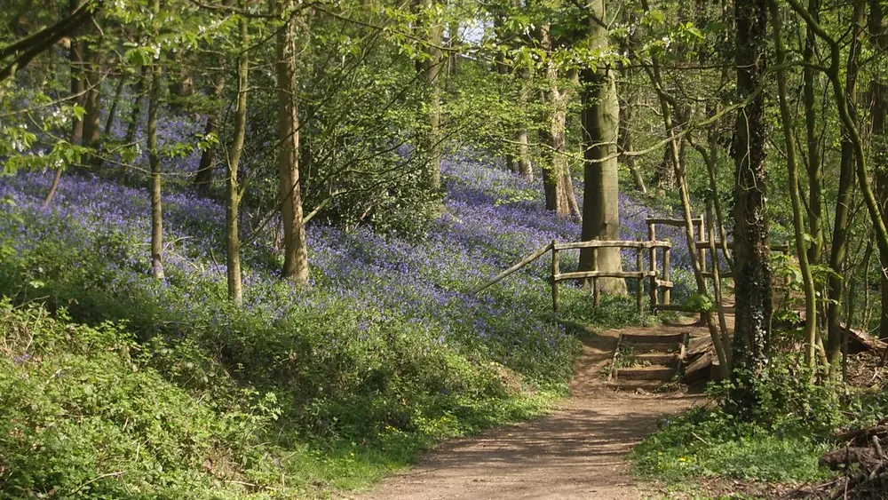 Parc Marguerite Yourcenar