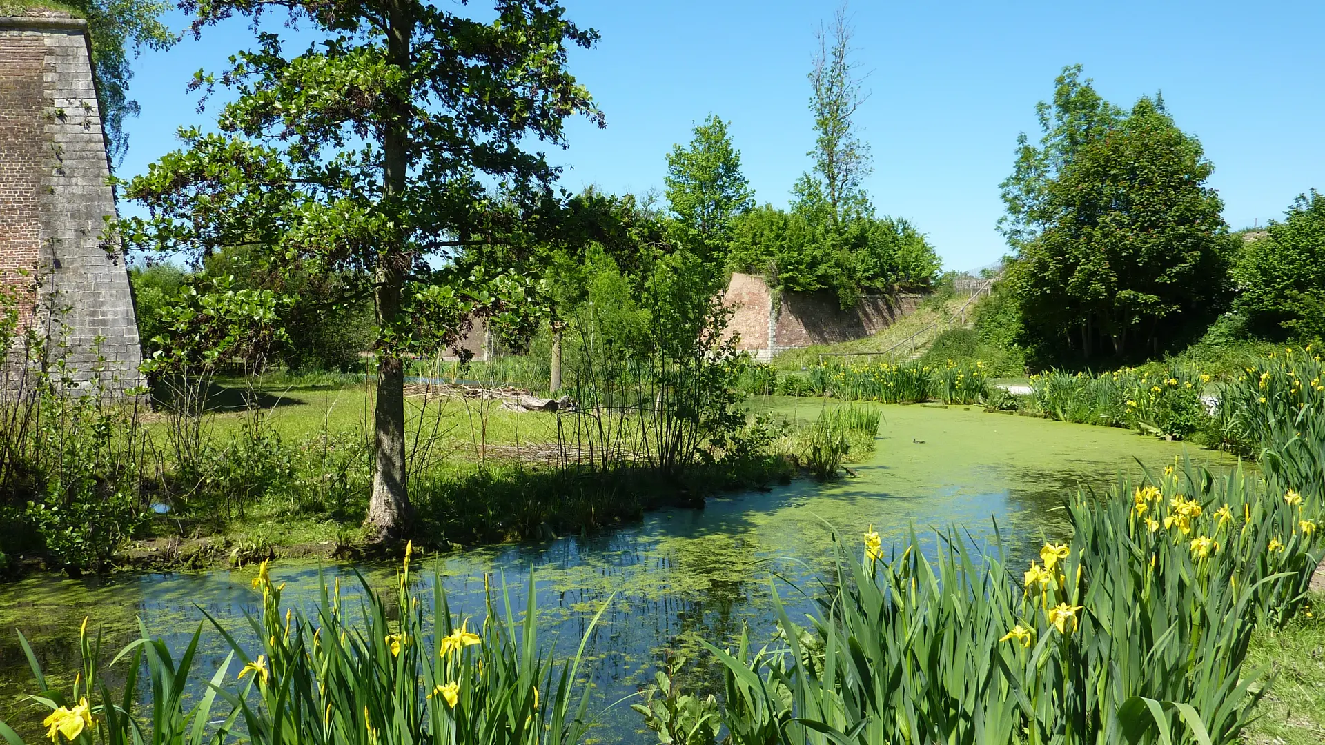 Parc de la Citadelle © Lille Tourisme (12)