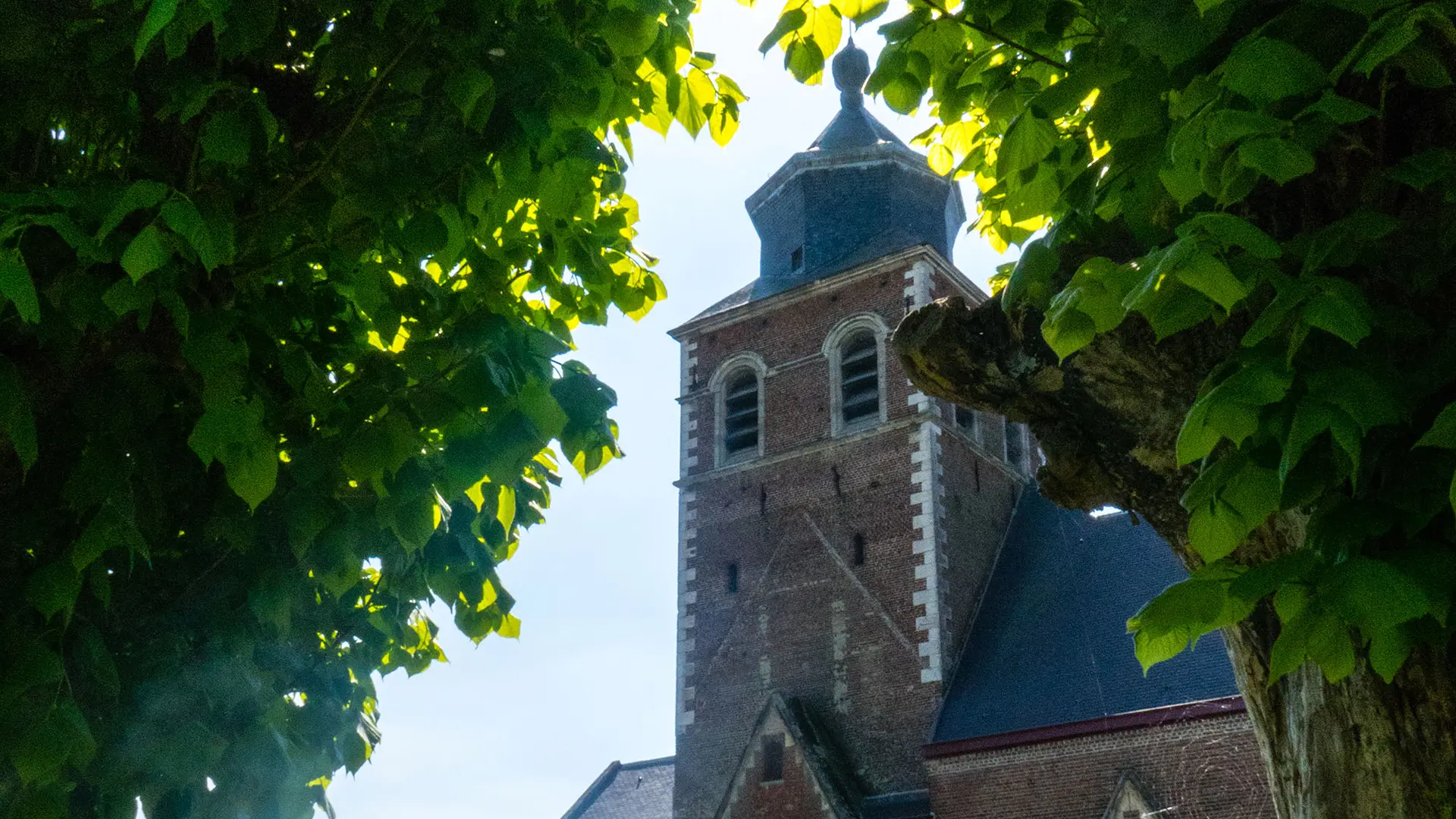 Renescure mai 2019 MV (3)