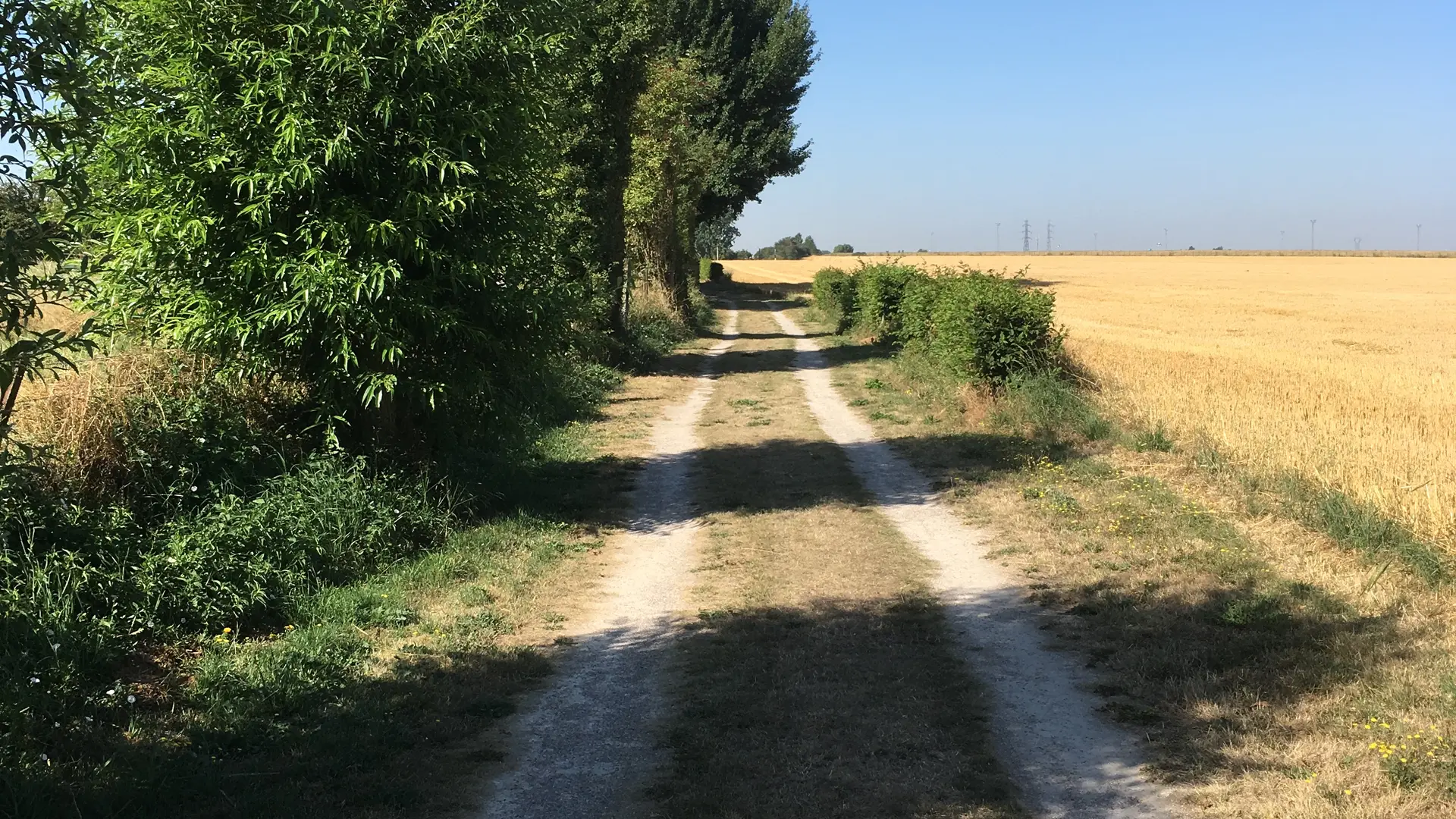 Chemin de campagne Rombies-et-Marchipont-©OTCVM_3644
