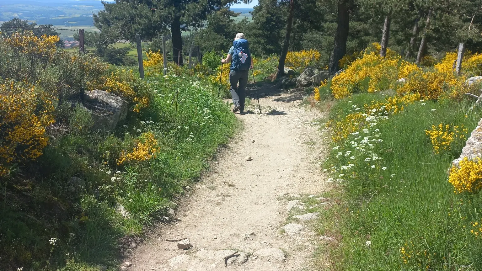 Sur le chemin avec Betty