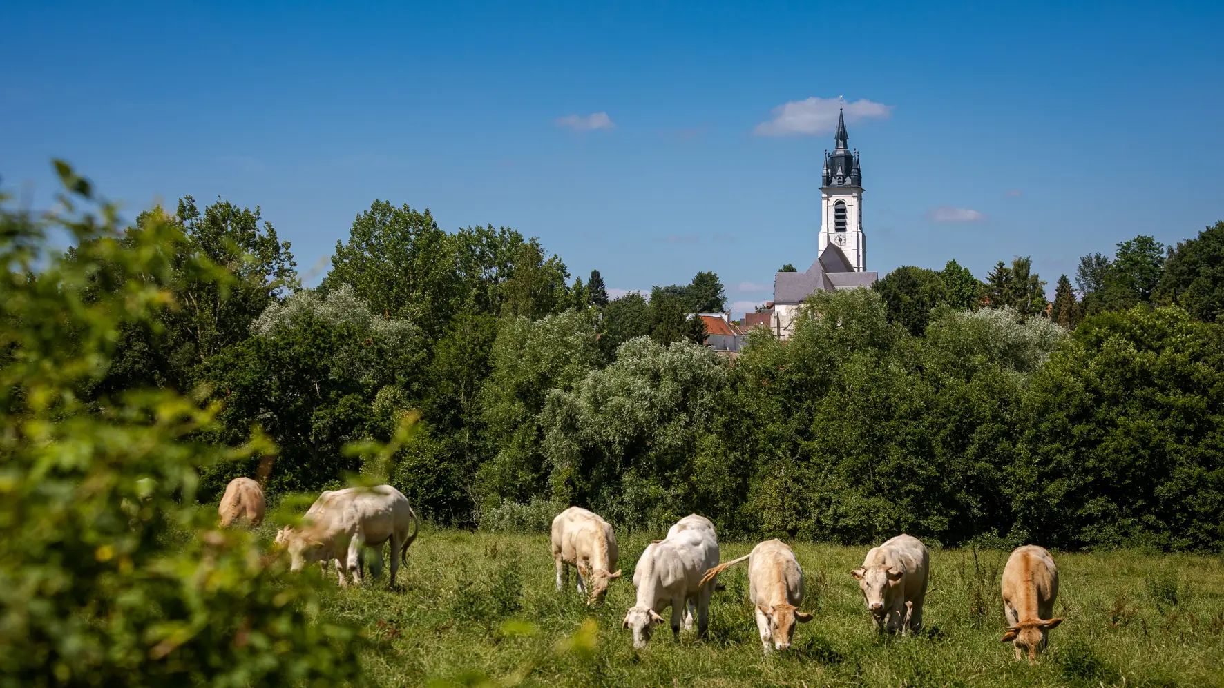 Eglise saint martin Sebourg-OTCVM©claude.waeghemacker-HD-32