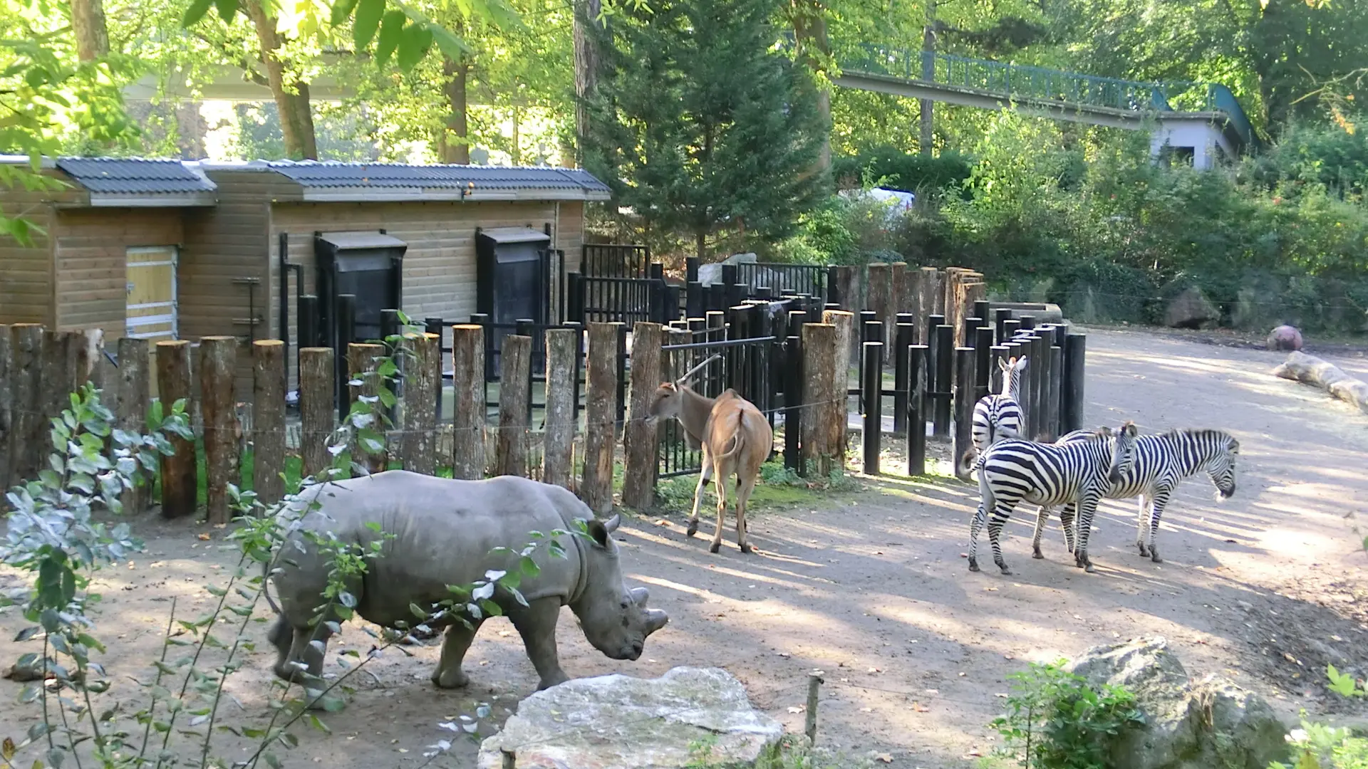 Zoo de Lille © Lille Tourisme (5)