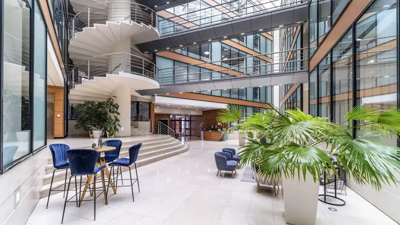 mitwit lille flandres 43