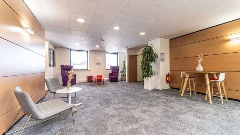 mitwit lille flandres 17