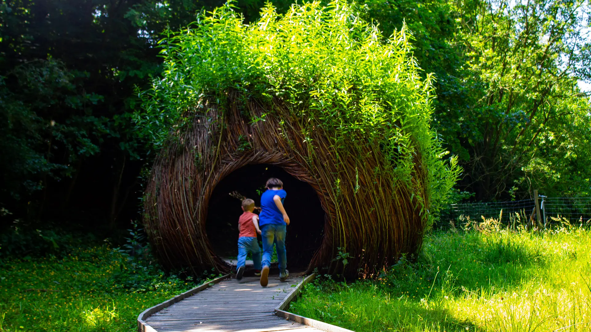 aires ludiques -juin2025--114