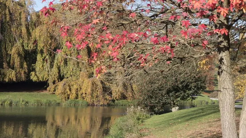 Le Parc Barbieux, classé Jardin remarquable - Roubaix