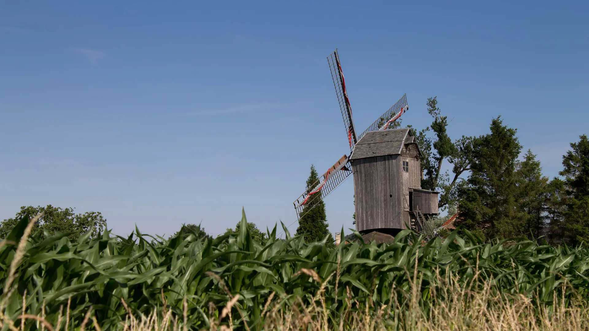 houtkerque juillet 2015-29