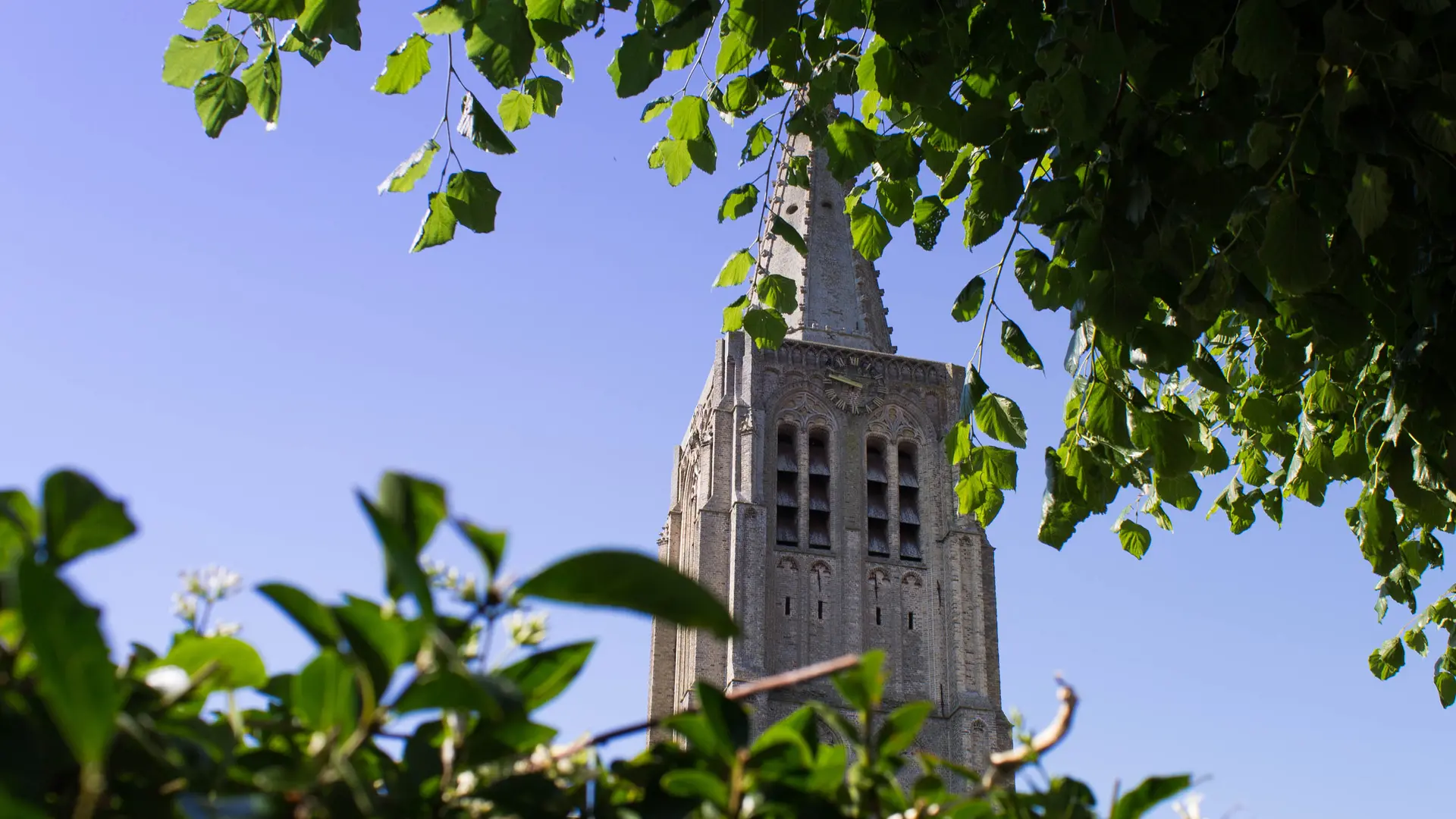 houtkerque juillet 2015-5