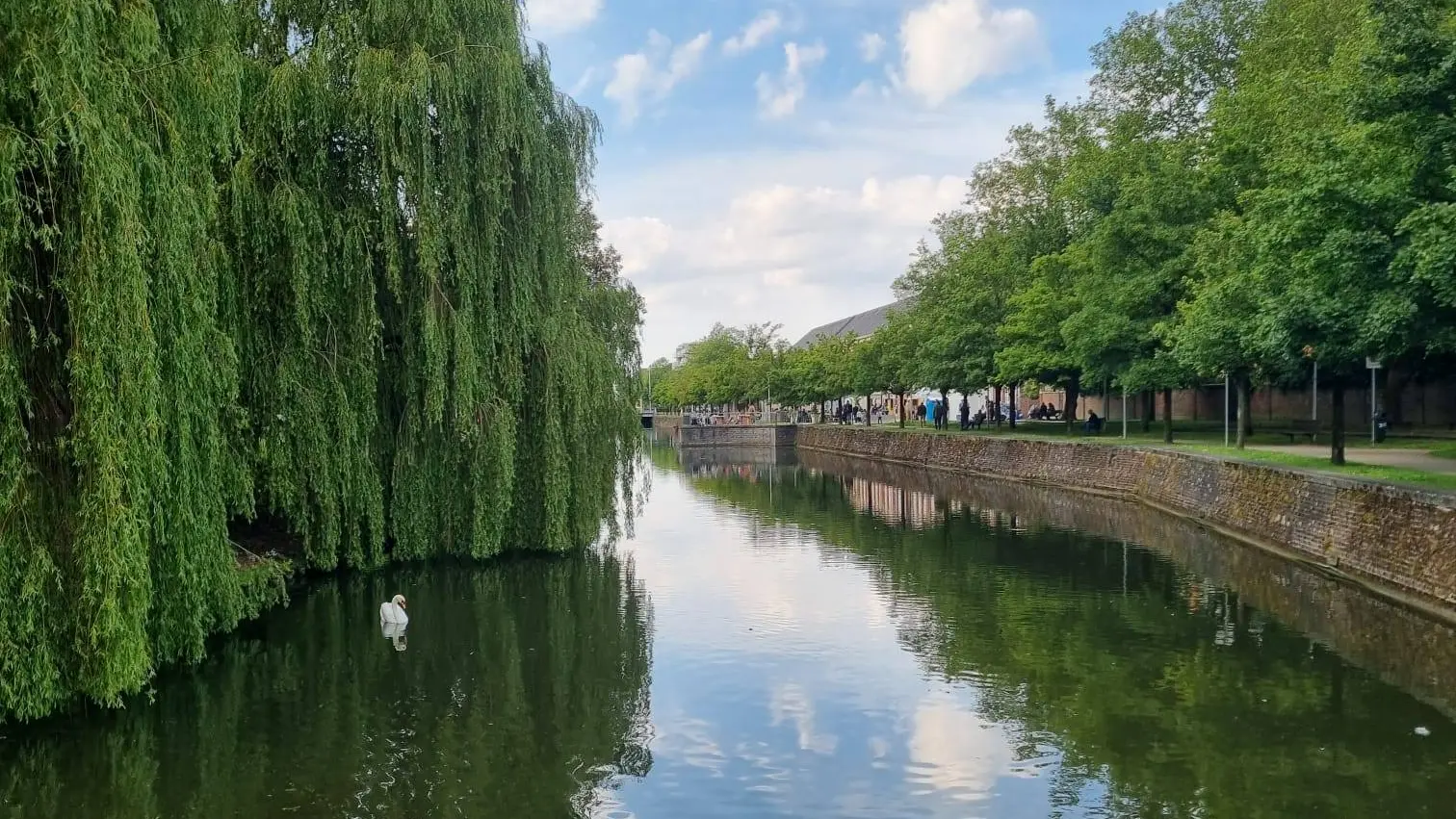 la guinguette des quais environnement nature 2024