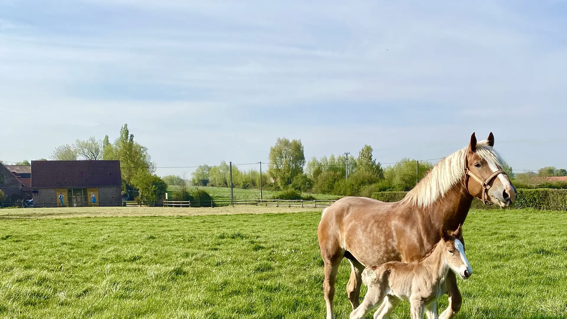 letty et arthus 2020