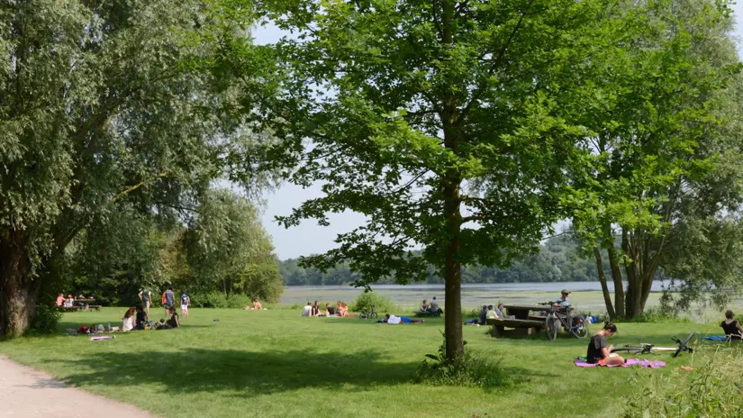 parc-du-héron