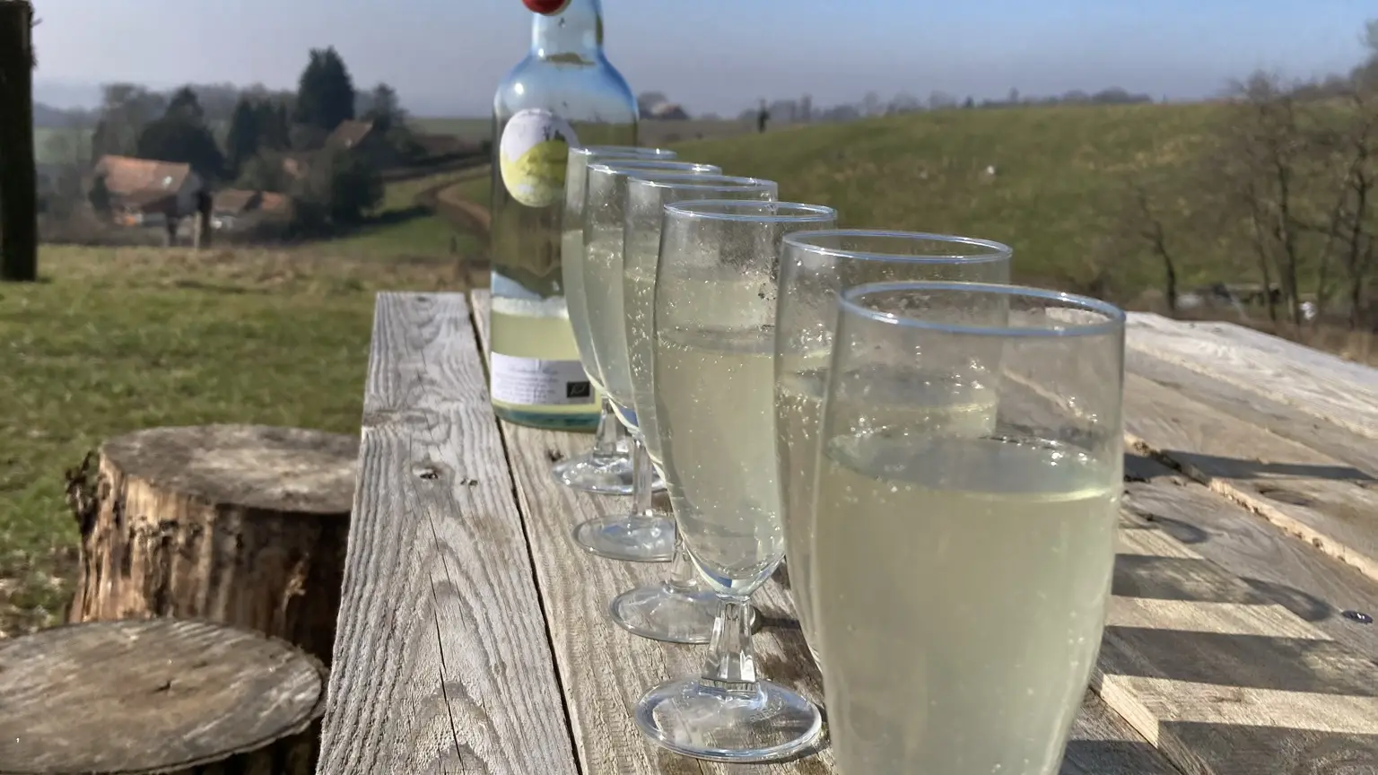 pétillant-fleur-sureau-bio-la-casseline