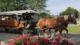 promenade en calèche