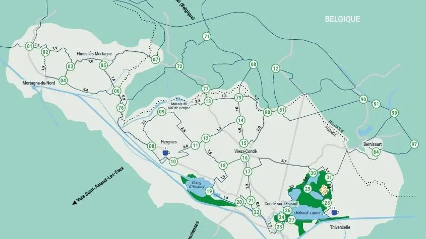carte réseau point-noeuds