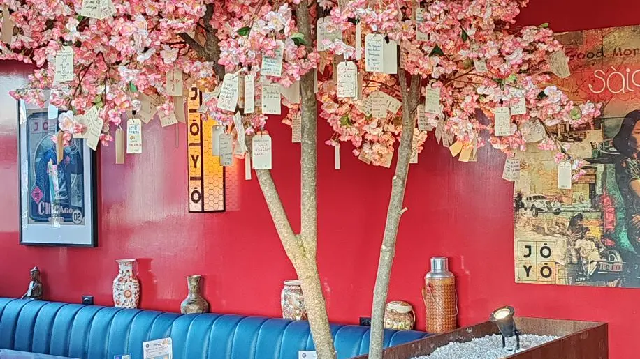 ArbreAVoeux-Jōyō-restaurant-Valenciennes