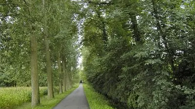 Bois de la Noyelle