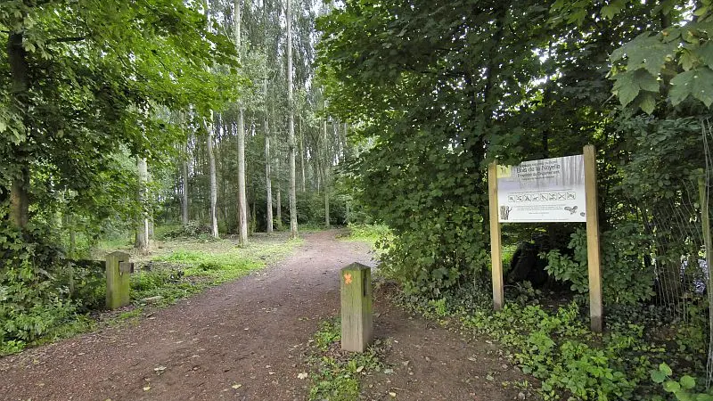 Bois de la Noyelle