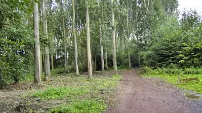 Bois de la Noyelle