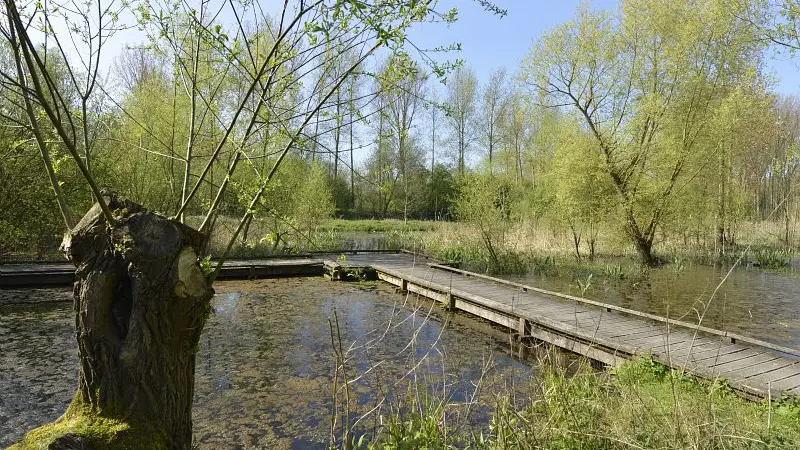 Marais de Bonnance