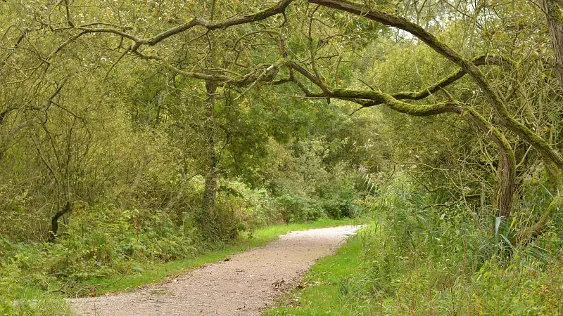Marais de Fretin