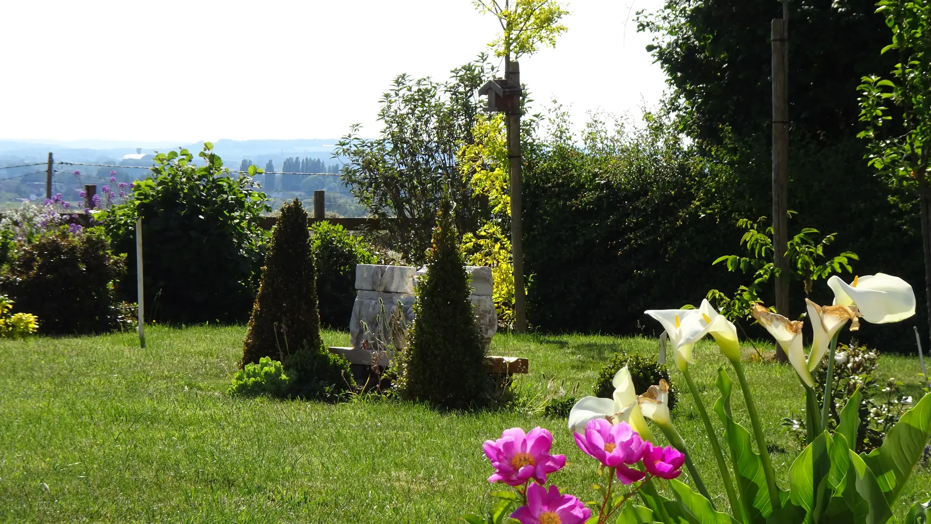 Les papillotes côté jardin
