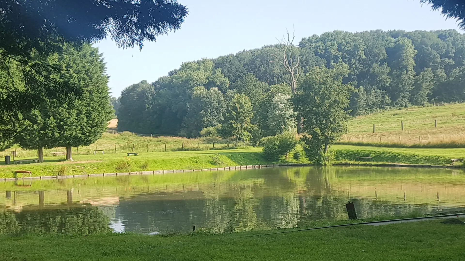 Etang de pêche à la truite