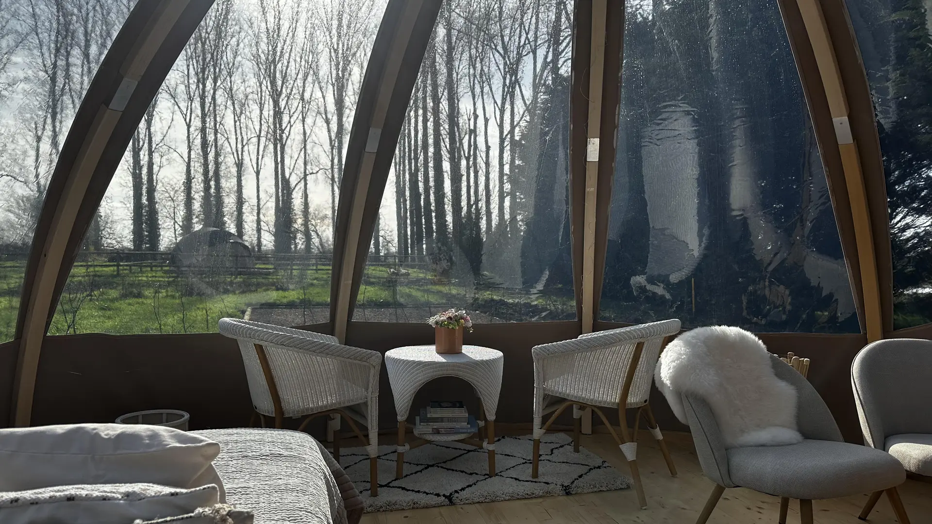 429514284_1461049561178613_2354417582051199531_n