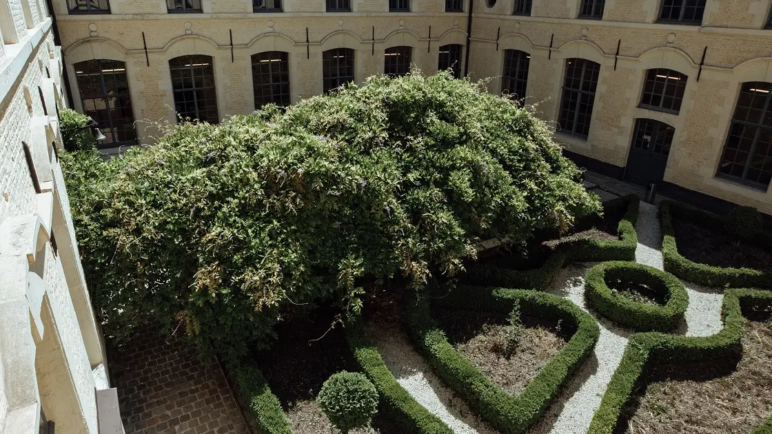 L'HERMITAGE GANTOIS - Cour