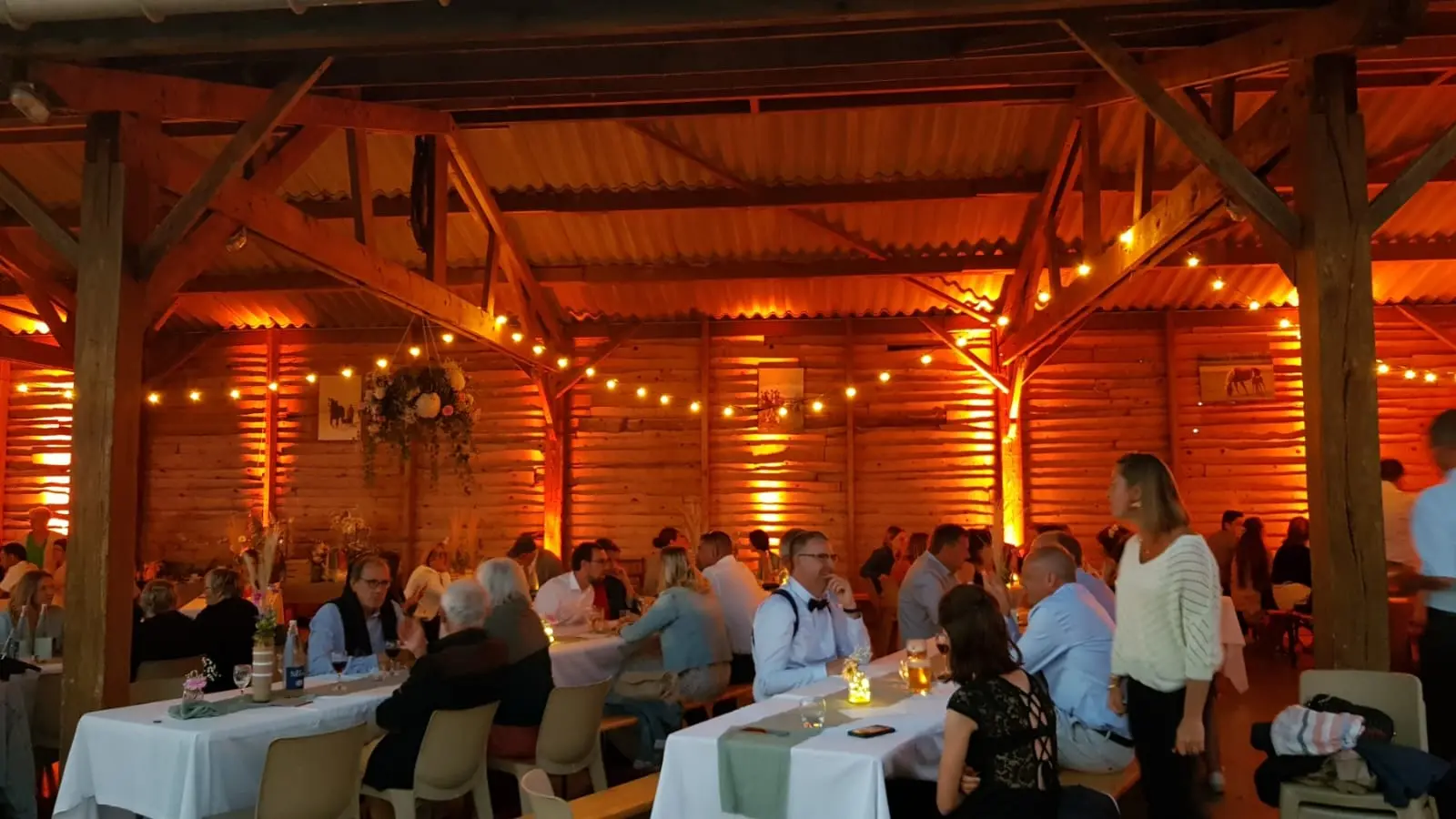 Batiment cheval flamand