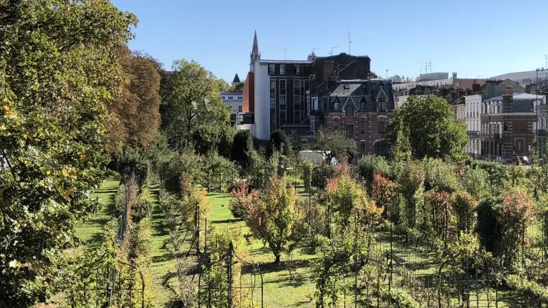 jardin-arboriculture-fruitiere-lille