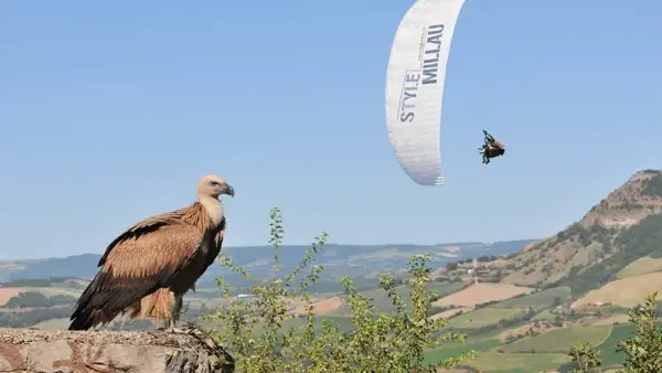 Airzone Parapente