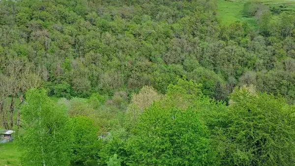 Vue du balcon