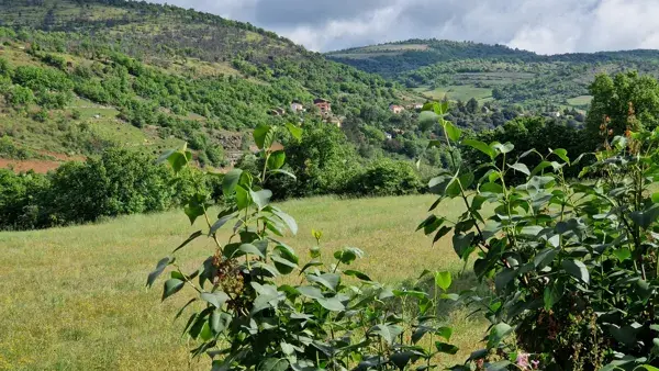 la campagne