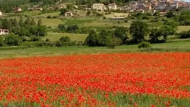 un beau jour de printemps