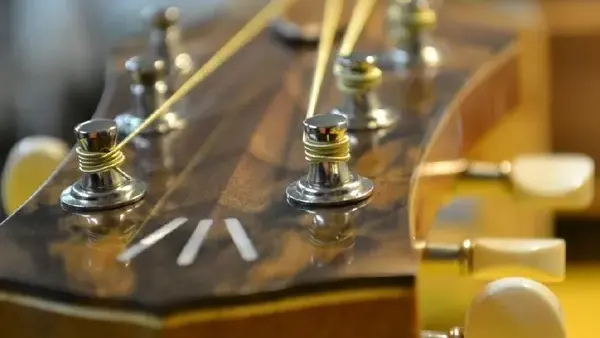 Michel CASSAN - Luthier