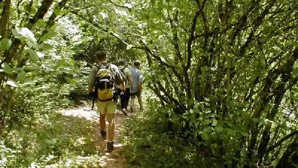 Course d'orientation sur le Causse