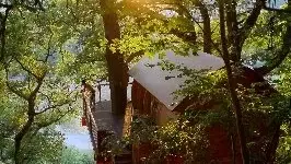 La Cabane de Millau