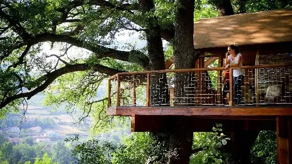 La Cabane de Millau