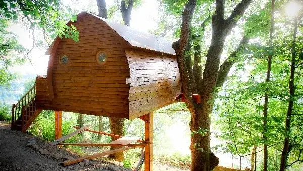 La Cabane de Millau