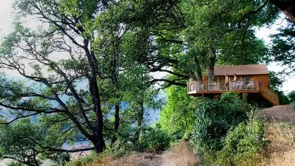 La Cabane de Millau